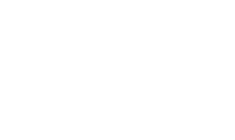 Delaware Nurses Association logo